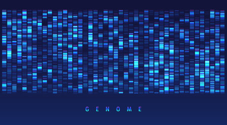 Illustrazione per DNA genomic test, genome map. Big data visualization. Abstract infographic representation. Graphic concept for your design - Immagini Royalty Free