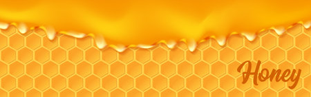 Background with honeycombs and honey. Graphic concept for your designのイラスト素材