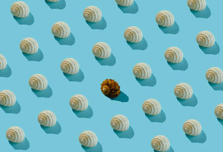 White seashells pattern on pastel pink background. Modern summer flat lay.の写真素材