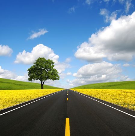 The road forwardの写真素材