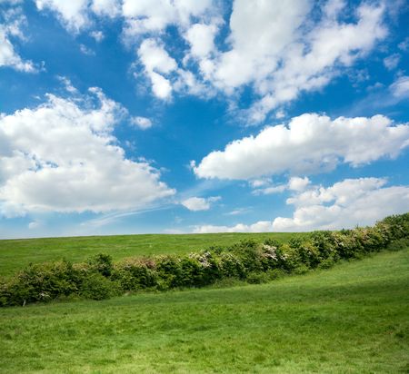Idyllic summer landscapeの写真素材