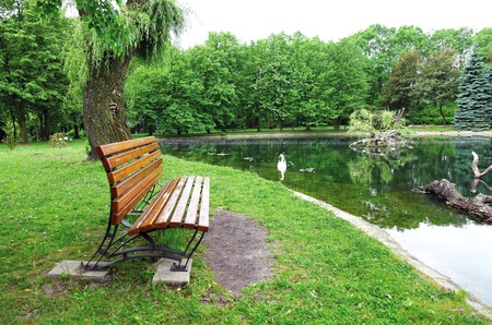 Natural clean environmentの写真素材