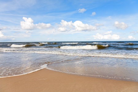 Summer Sea