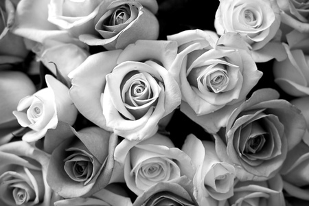 Black and white roses bouquetの写真素材