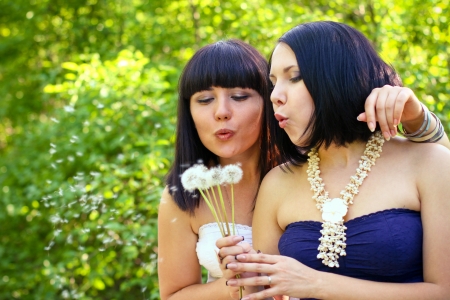Two attractive women blowing on dandelion in parkの写真素材