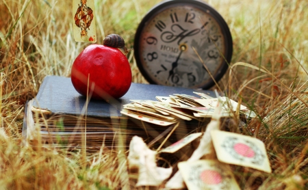 Cards, apple, snail and a book on the grassの写真素材