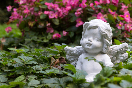 angel figure between flowersの写真素材