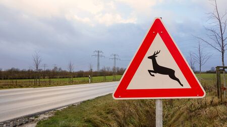 Road sign. Caution wild crosses the roadの写真素材