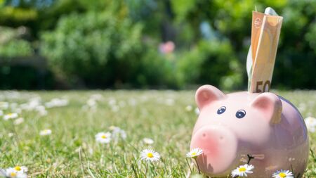 Pink piggy bank on a sunny dayの写真素材