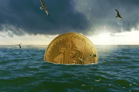 Golden Bitcoin coin swimming in the seaの写真素材