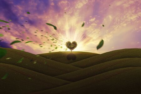 Heart shape tree on a hillの写真素材