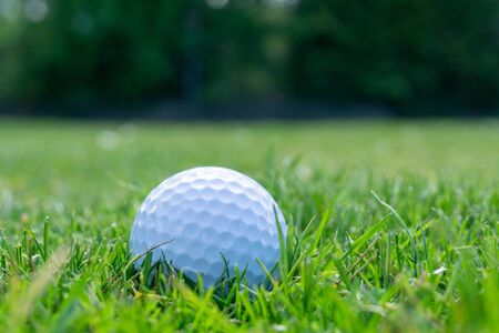 Golf ball on lawnの写真素材