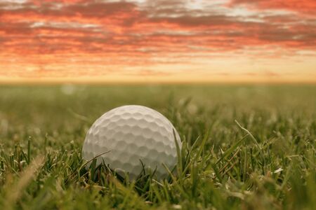 Golf ball on greenの写真素材