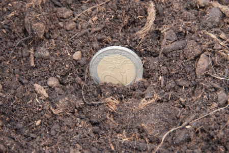 Euro coins embedded in the soil to grow.の写真素材