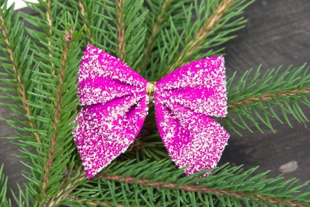Coniferous twig with pink ribbon, taken as a Christmas decoration.の写真素材