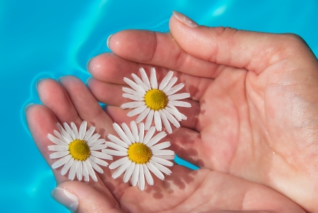 Flowers goldfish swimming in the water, which holds woman in his hand.の写真素材