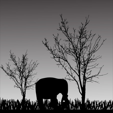 Vector silhouette of elephant on a gray background.のイラスト素材