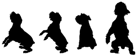 Vector silhouette of a dog on a white background.のイラスト素材