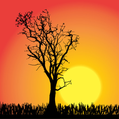 silhouette of tree on a orange background.のイラスト素材