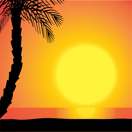 Vector silhouette background beach with palm trees at sunset.のイラスト素材