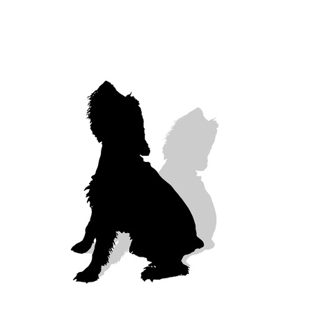 Vector silhouette of a dog on a white background.のイラスト素材