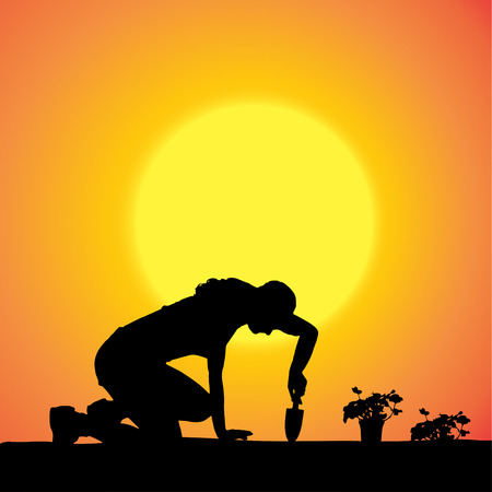 Vector silhouette of a gardener in the garden at sunset.のイラスト素材