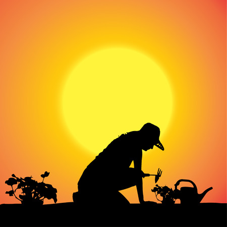 Vector silhouette of a gardener in the garden at sunset.のイラスト素材
