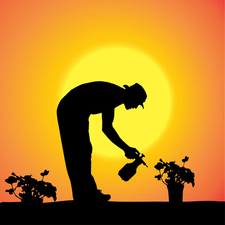 Vector silhouette of a gardener in the garden at sunset.のイラスト素材