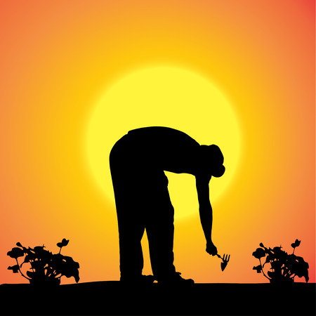 Vector silhouette of a gardener in the garden at sunset.のイラスト素材