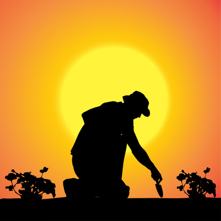 Vector silhouette of a gardener in the garden at sunset.のイラスト素材