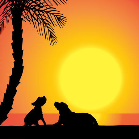 Vector silhouette of a dog on the beach at sunset.のイラスト素材