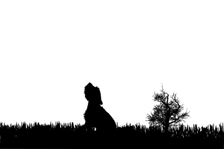 Vector silhouette of a dog on a white background.のイラスト素材