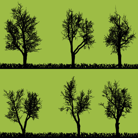 Vector silhouette of tree on a green background.のイラスト素材