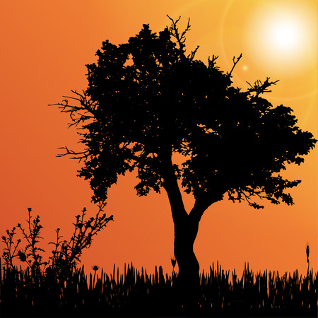Vector silhouette of tree on the meadow.のイラスト素材