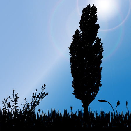 Vector silhouette of tree on the meadow.のイラスト素材