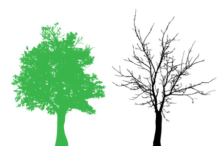 Vector silhouette of tree on white background.のイラスト素材