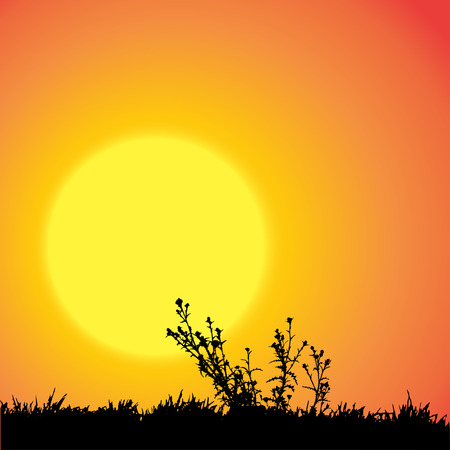 Vector silhouette landscape with grass at sunset.のイラスト素材