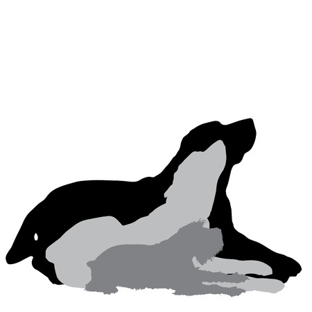 Vector silhouette of a dog on a white background.のイラスト素材