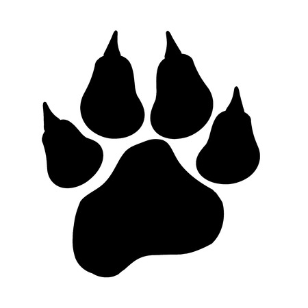 Vector image of paw on a white background.のイラスト素材