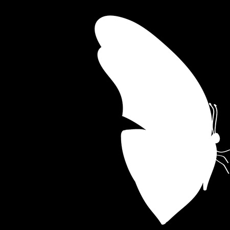Vector illustration of a butterfly on a black background.のイラスト素材