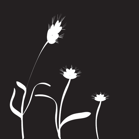 silhouettes of flowers on a black background.のイラスト素材