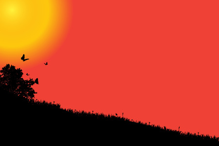 silhouette landscape with butterfly at sunset background.のイラスト素材