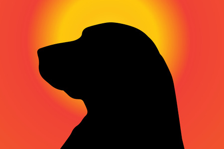 silhouette of a dog at sunset.のイラスト素材