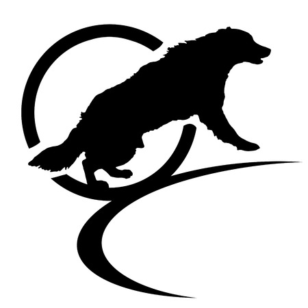 Vector silhouette of a dog in a box.のイラスト素材