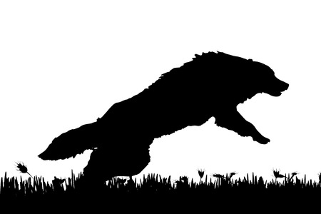 Vector silhouette of a dog in nature.のイラスト素材