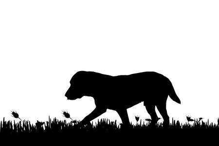 Vector silhouette of a dog in nature.のイラスト素材