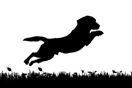 Vector silhouette of a dog in nature.のイラスト素材