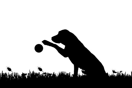 Vector silhouette of a dog in nature.のイラスト素材