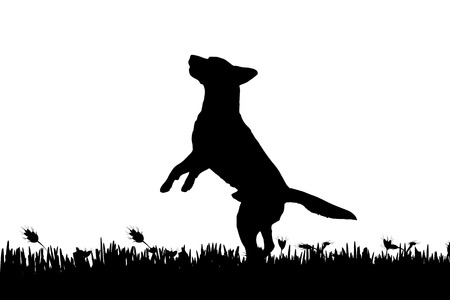 Vector silhouette of a dog in nature.のイラスト素材