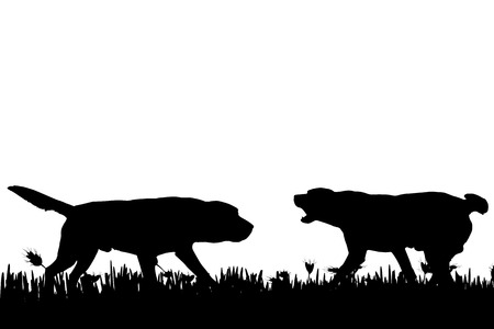 Vector silhouette of a dog in nature.のイラスト素材